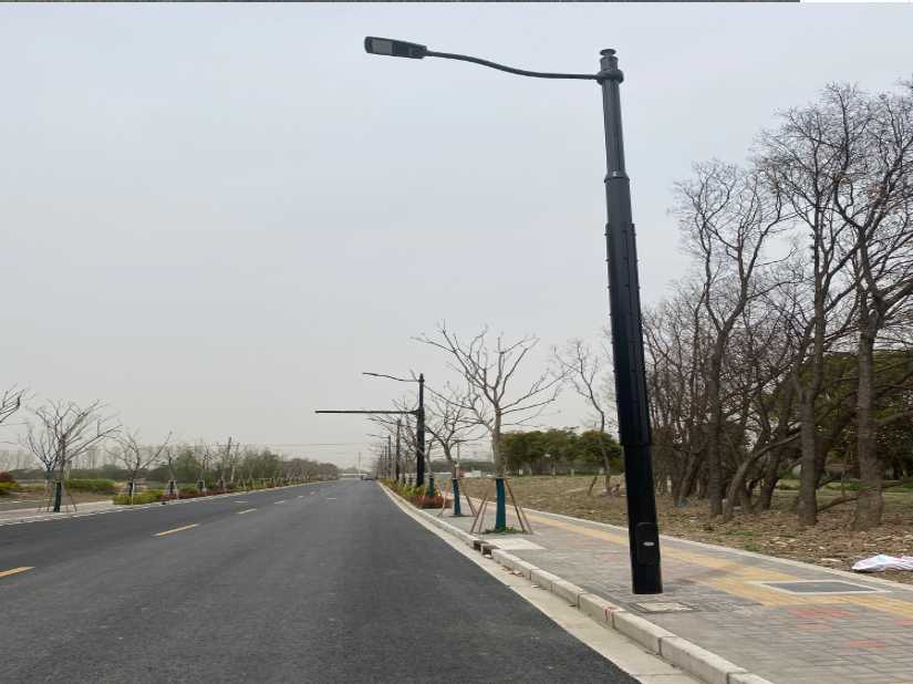 渠县上海综合杆 太阳能路灯工程